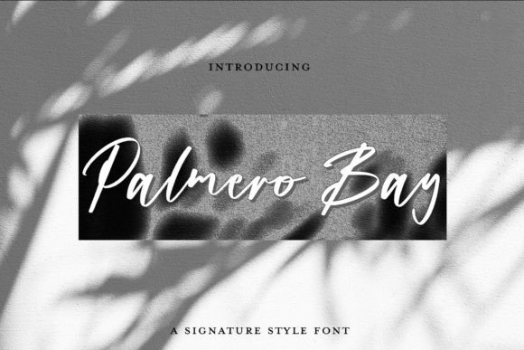 Palmero Bay: An Elegant Script Typeface for Digital Branding