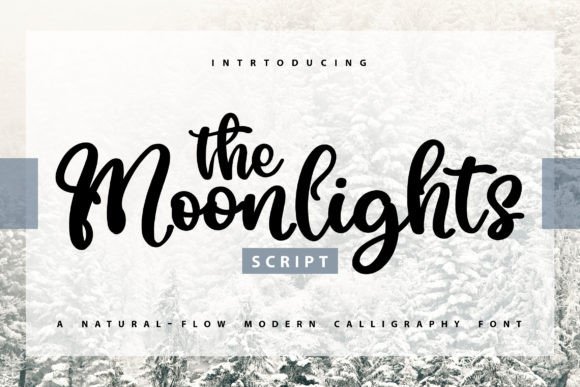The Moonlights: A Handwritten Script Font That Feels Like Home