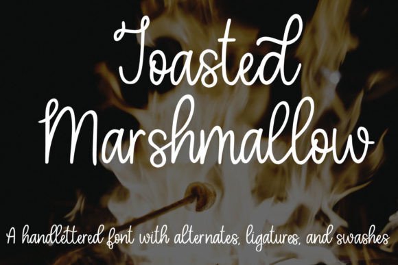 Toastied Marshmallow: A Warm, Hand-Lettered Script Font for Real Branding